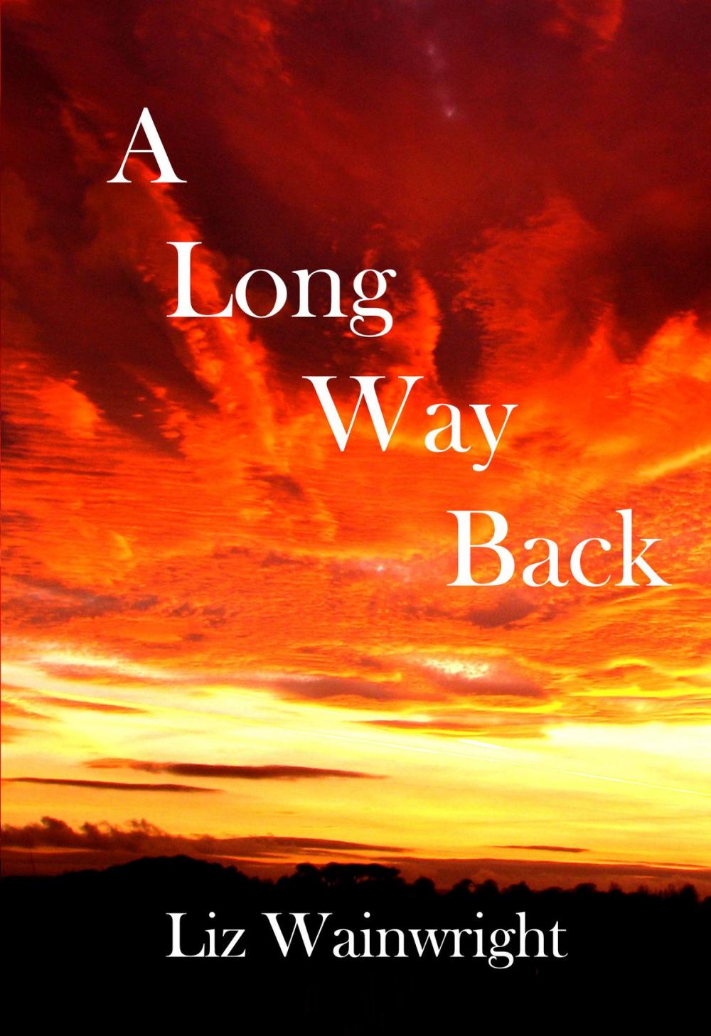 Big bigCover of A Long Way Back