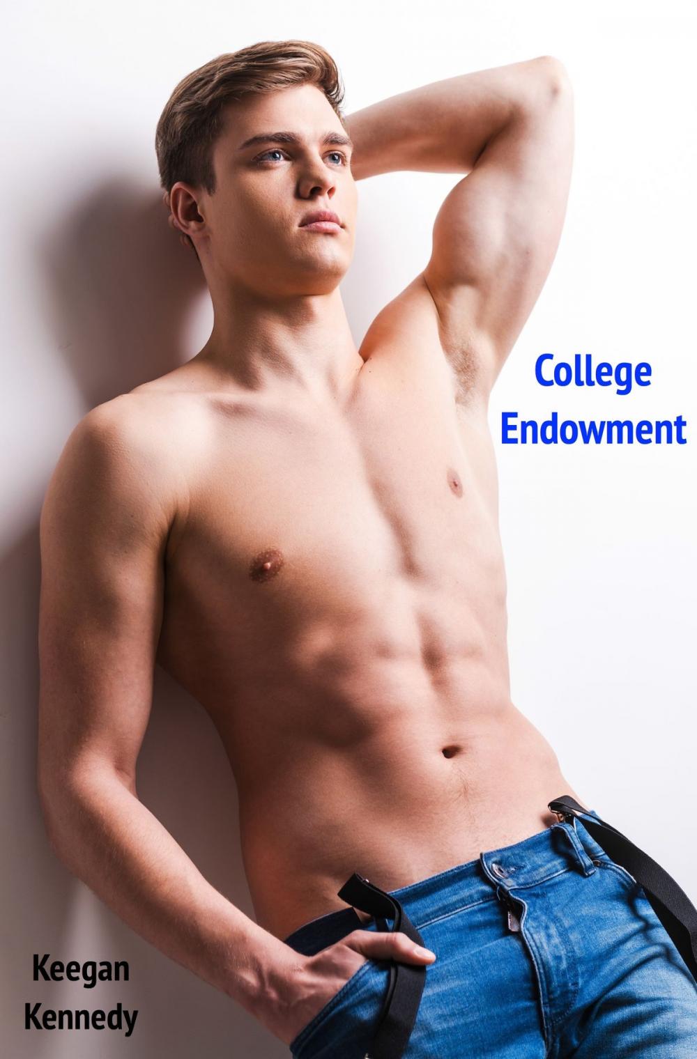 Big bigCover of College Endowment