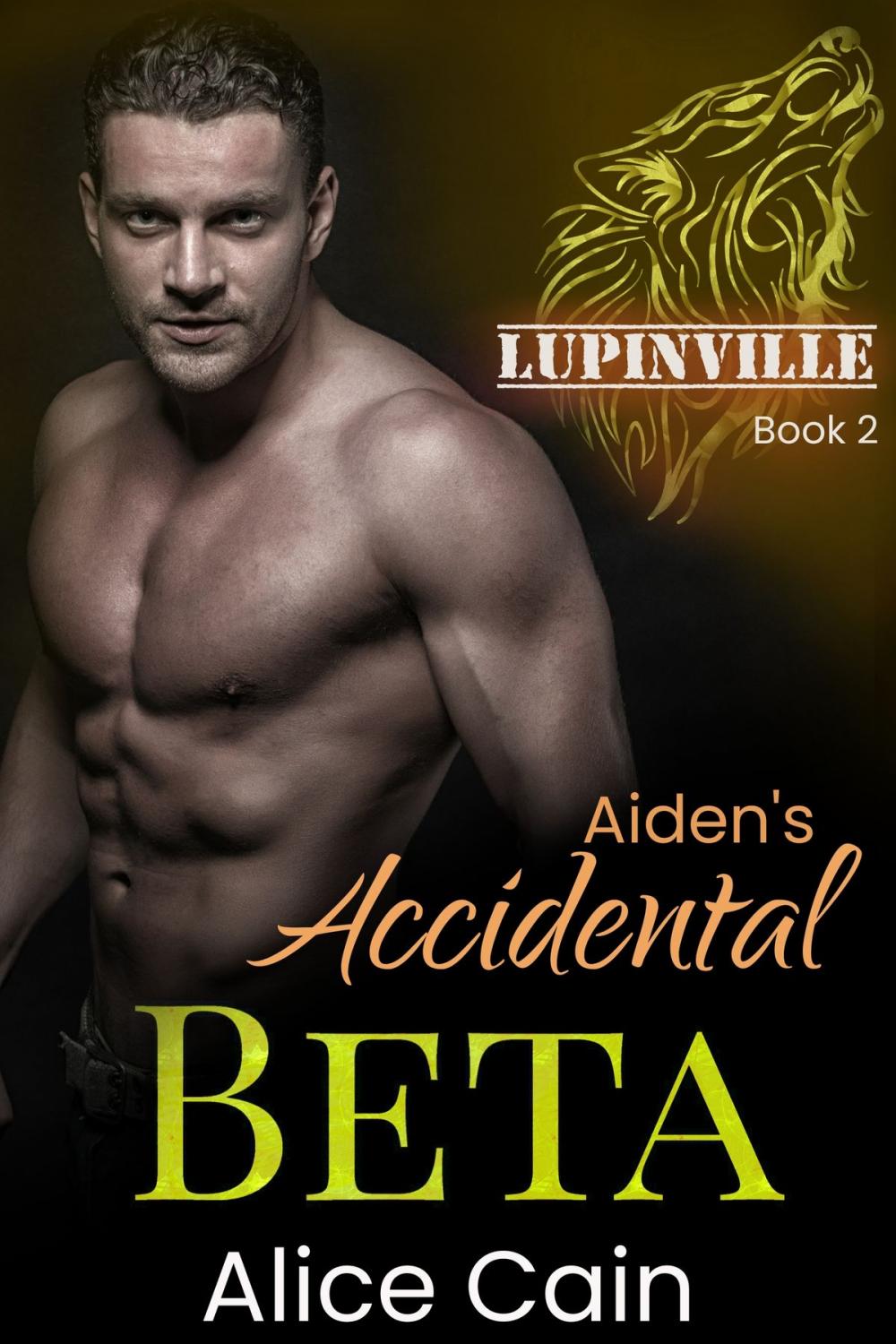 Big bigCover of Aiden's Accidental Beta