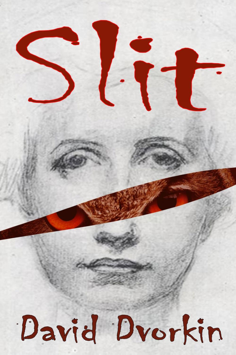 Big bigCover of Slit