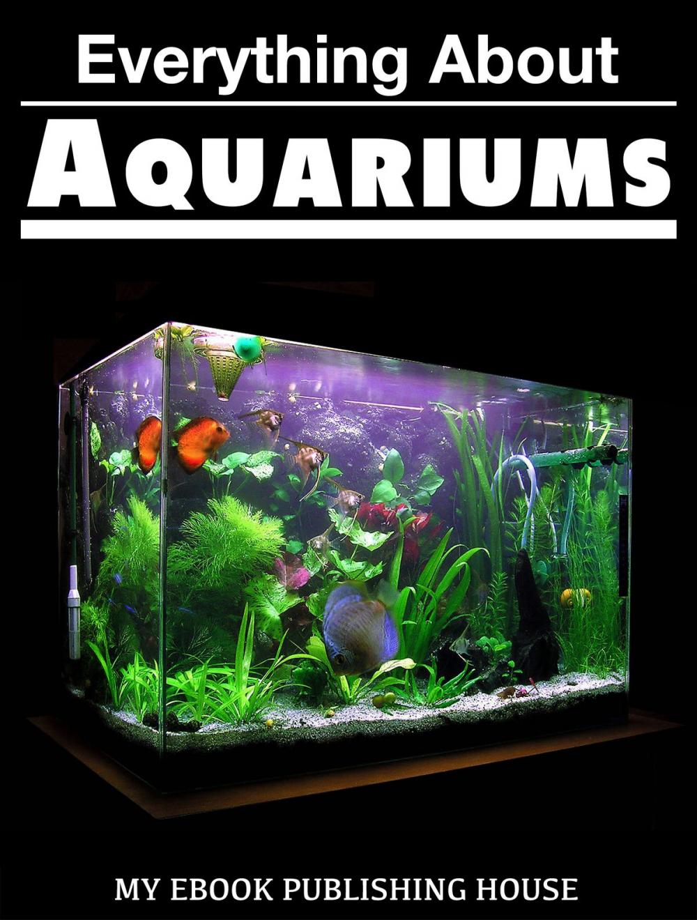 Big bigCover of Everything About Aquariums