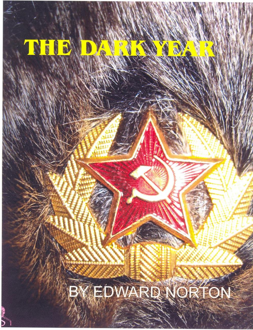 Big bigCover of The Dark Year