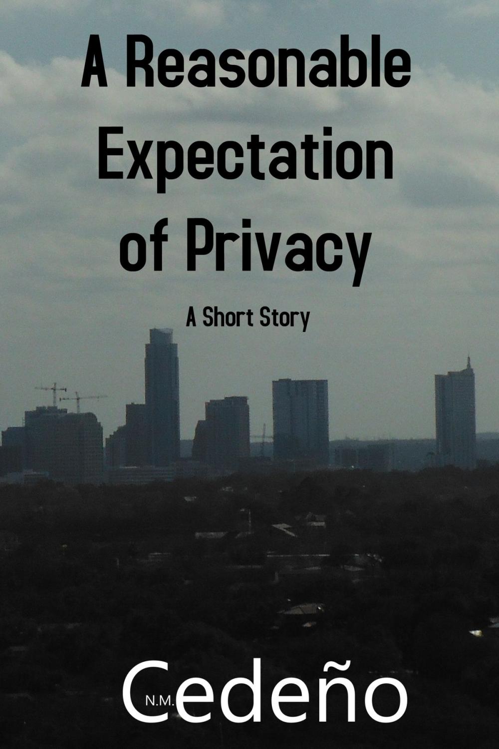 Big bigCover of A Reasonable Expectation of Privacy