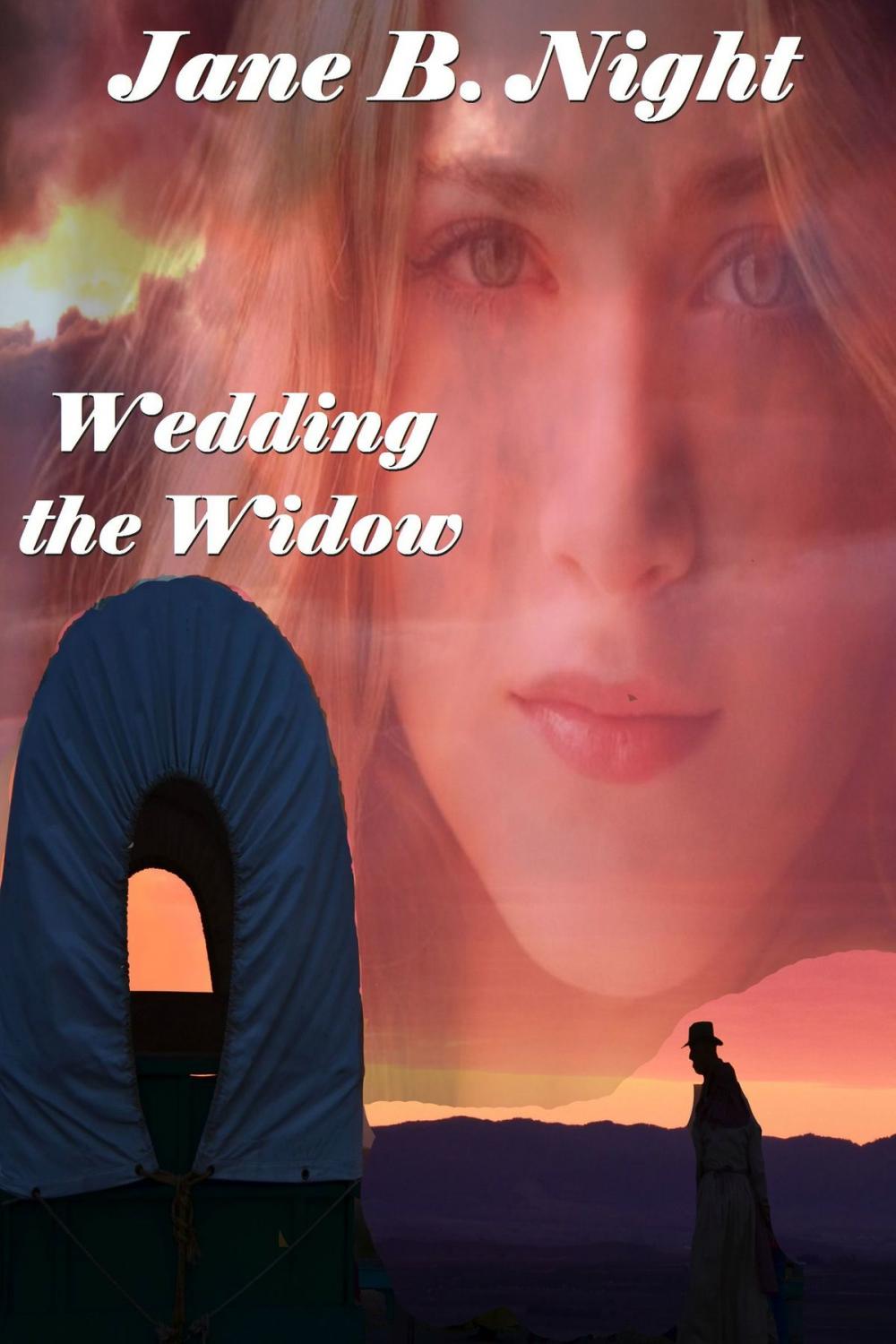 Big bigCover of Wedding the Widow