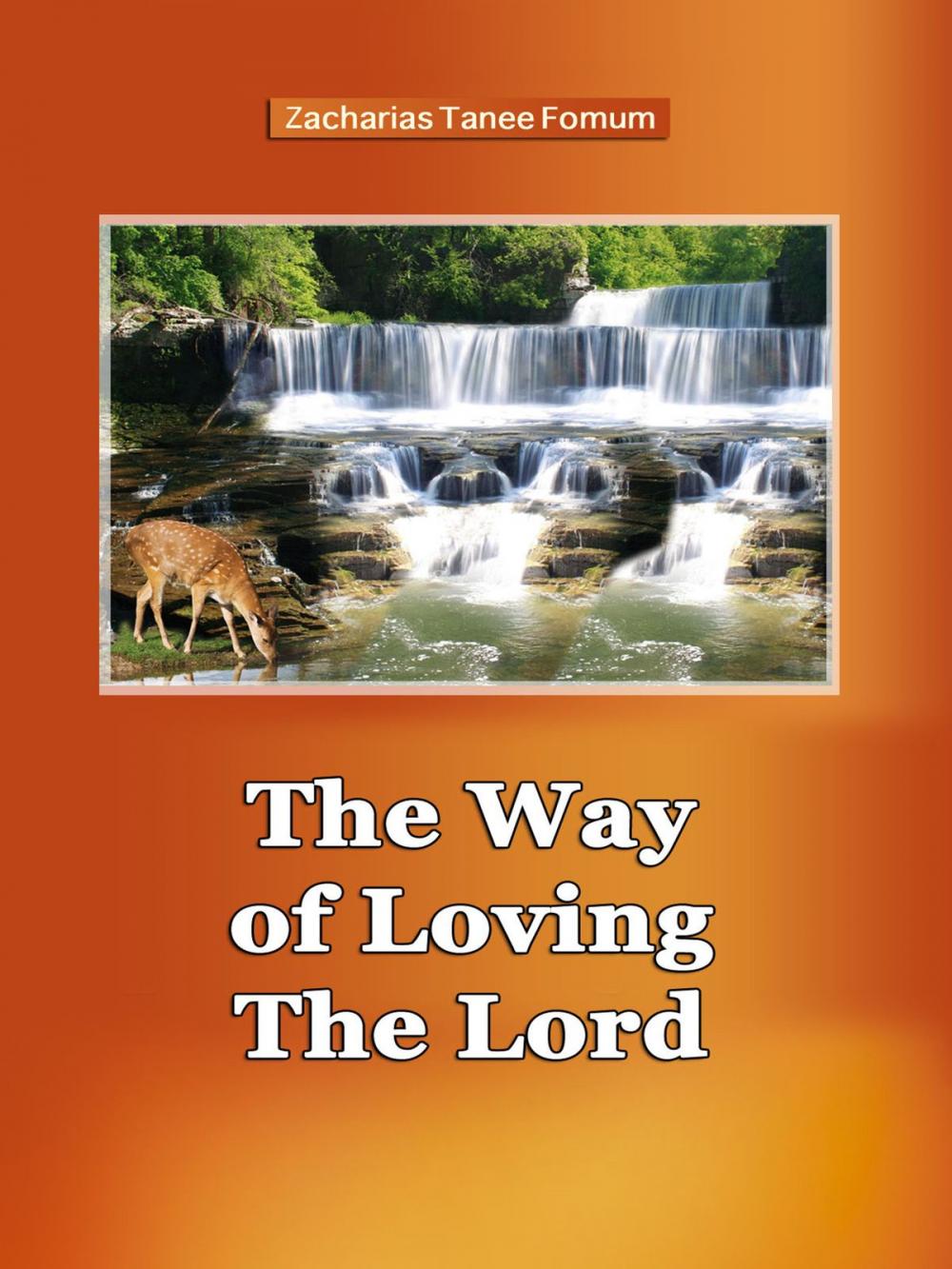 Big bigCover of The Way of Loving The Lord