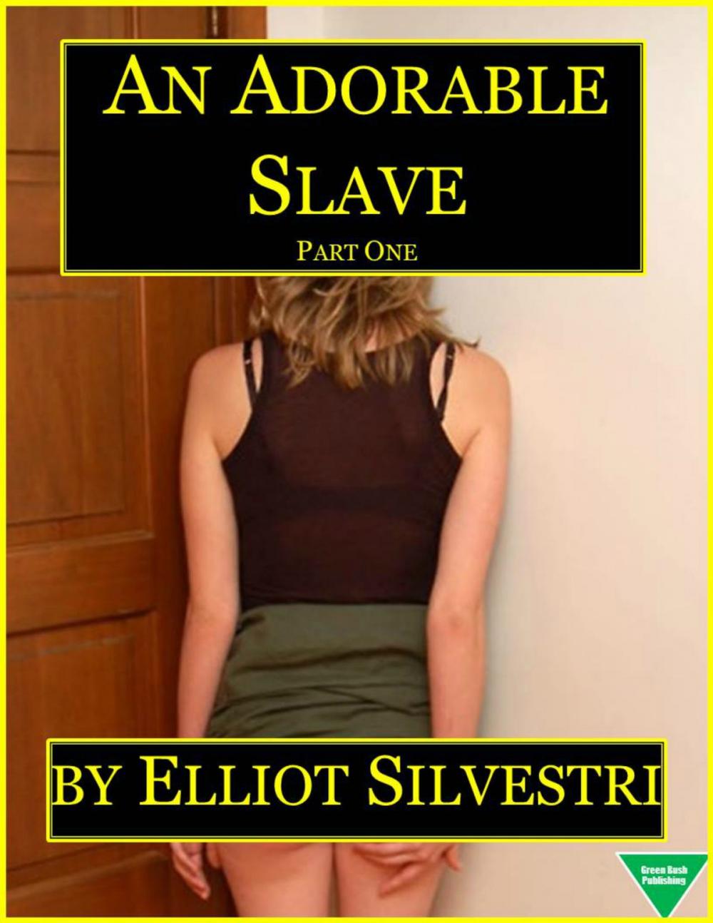 Big bigCover of An Adorable Slave (Part One)