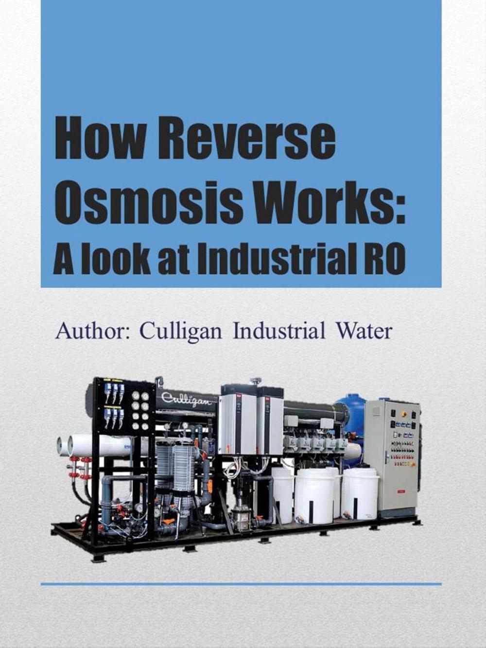 Big bigCover of How Reverse Osmosis Works: A Look at Industrial RO