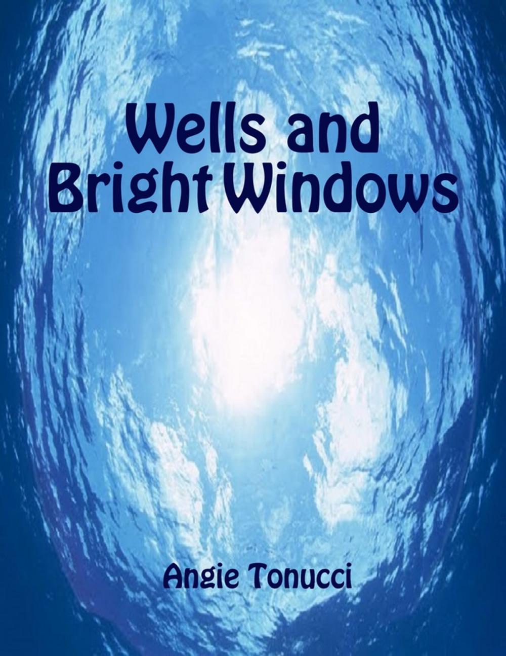 Big bigCover of Wells and Bright Windows