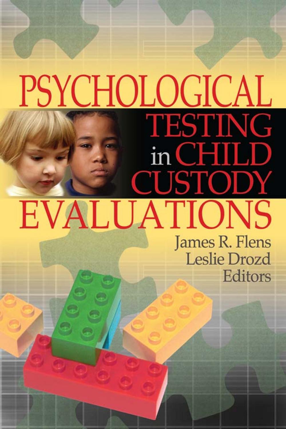 Big bigCover of Psychological Testing in Child Custody Evaluations