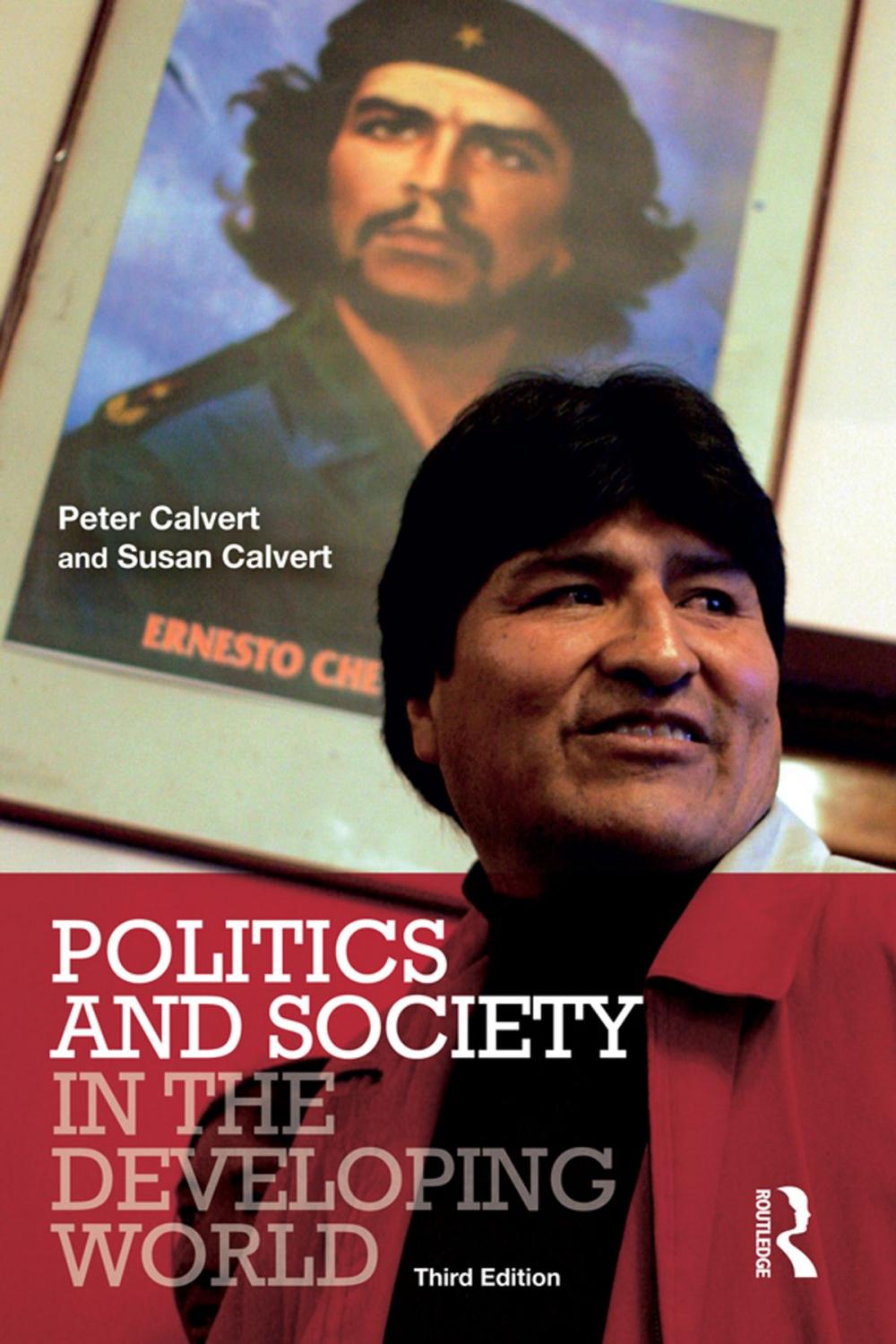 Big bigCover of Politics and Society in the Developing World