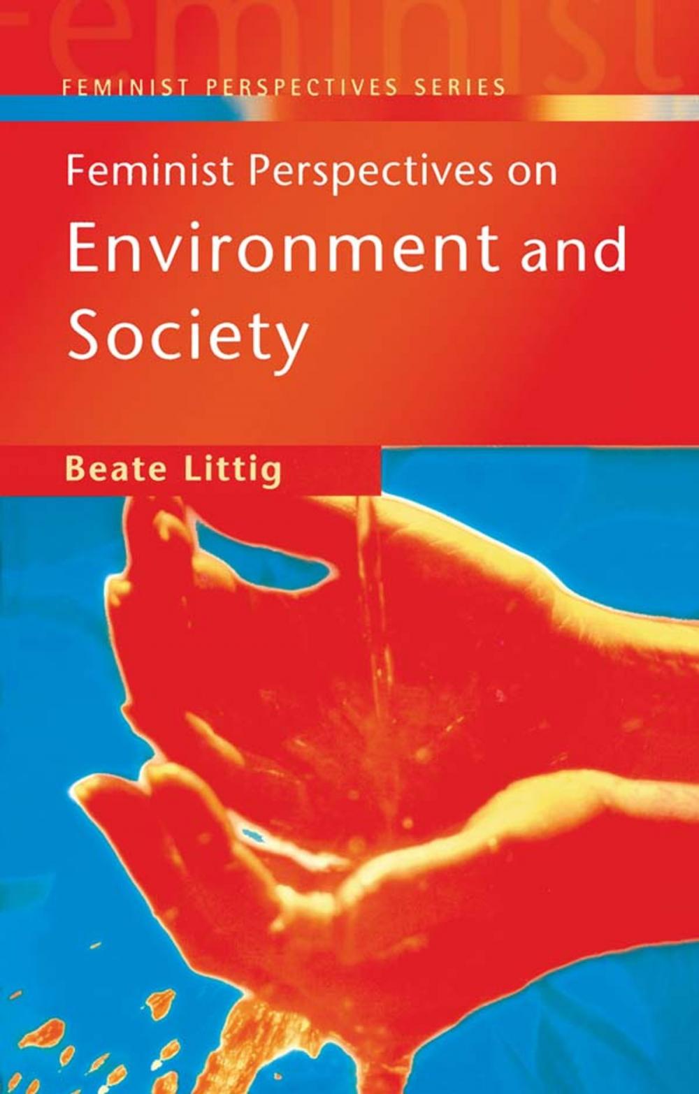 Big bigCover of Feminist Perspectives on Environment and Society