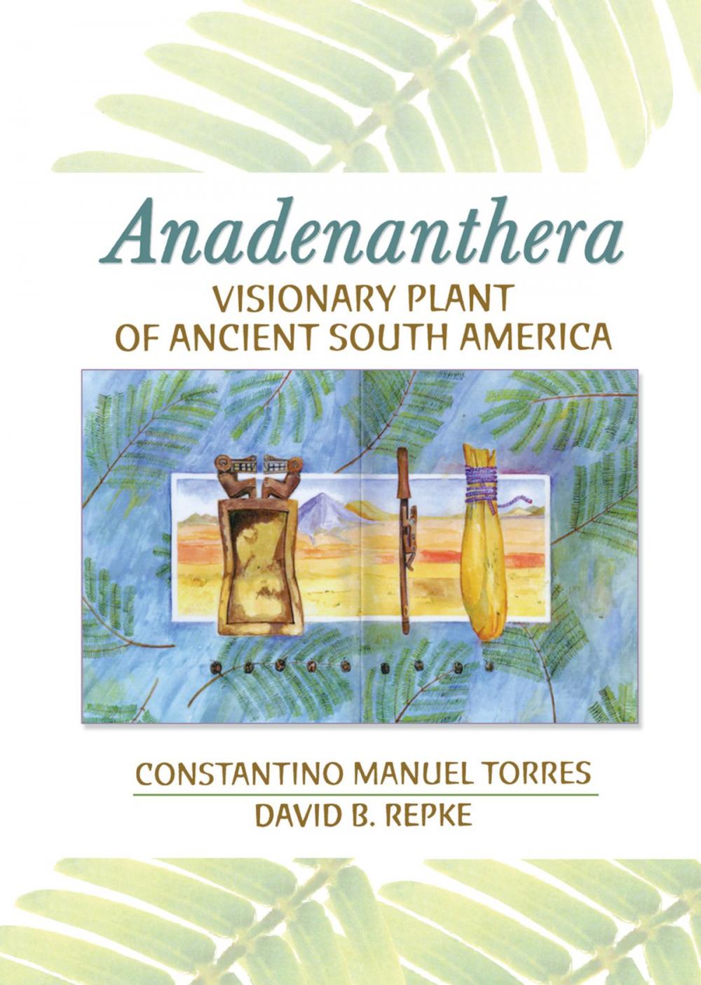 Big bigCover of Anadenanthera