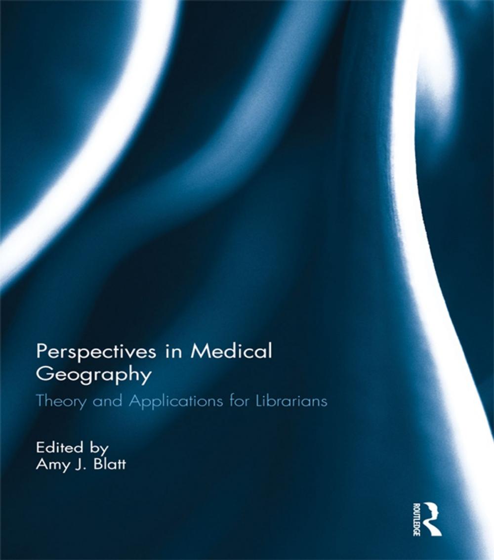 Big bigCover of Perspectives in Medical Geography