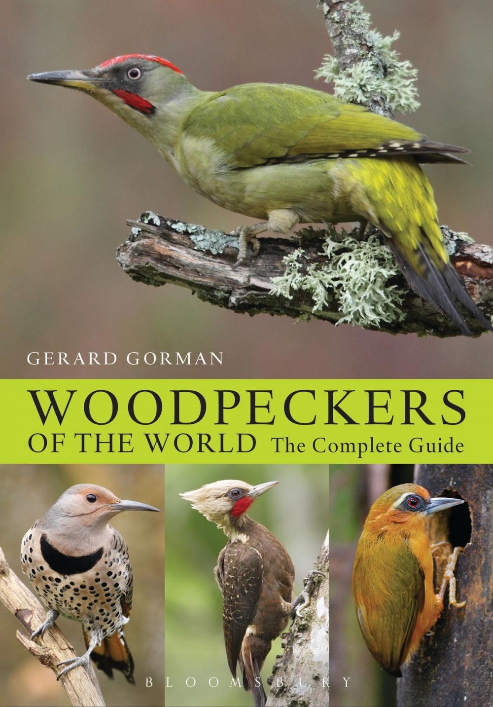 Big bigCover of Woodpeckers of the World