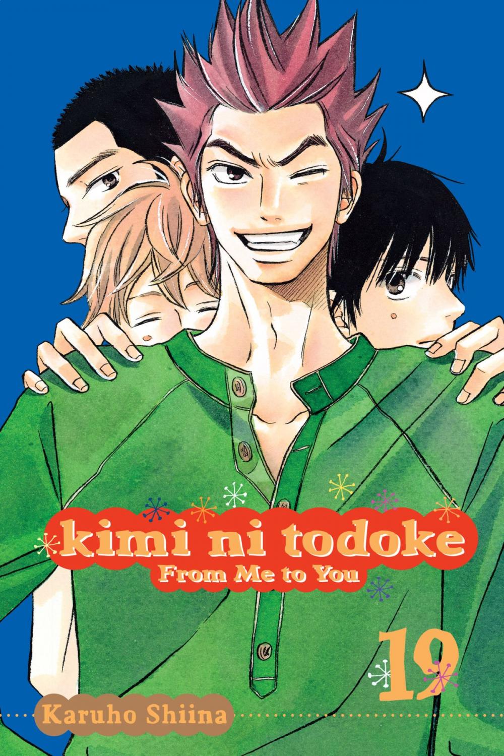 Big bigCover of Kimi ni Todoke: From Me to You, Vol. 19