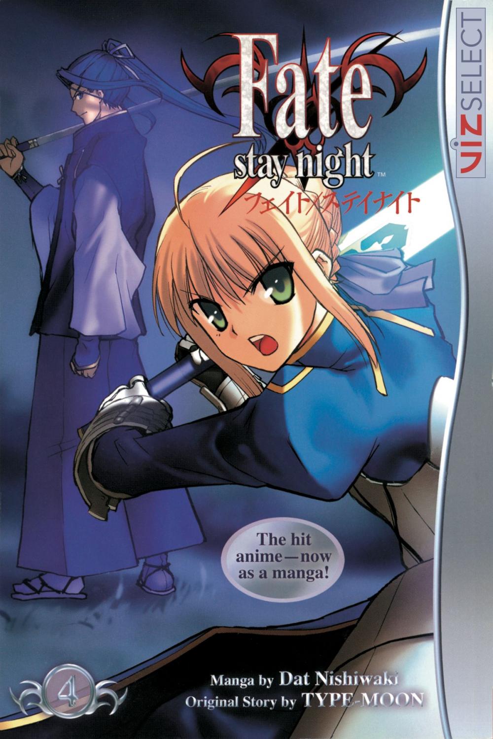 Big bigCover of Fate/stay night, Vol. 4