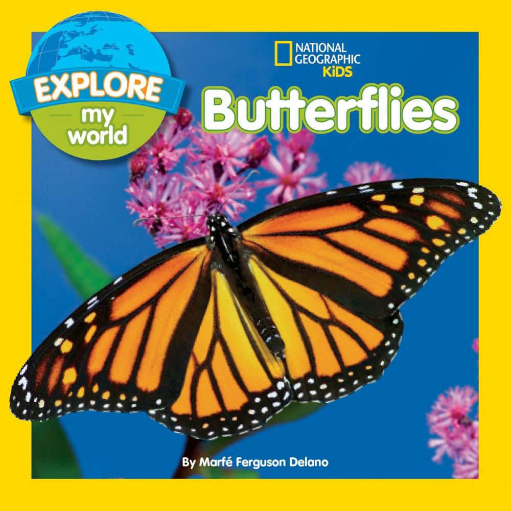 Big bigCover of Explore My World Butterflies