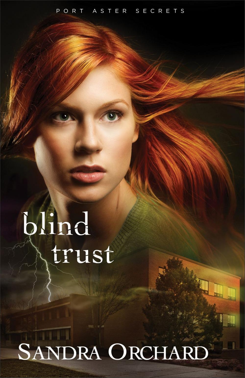 Big bigCover of Blind Trust (Port Aster Secrets Book #2)