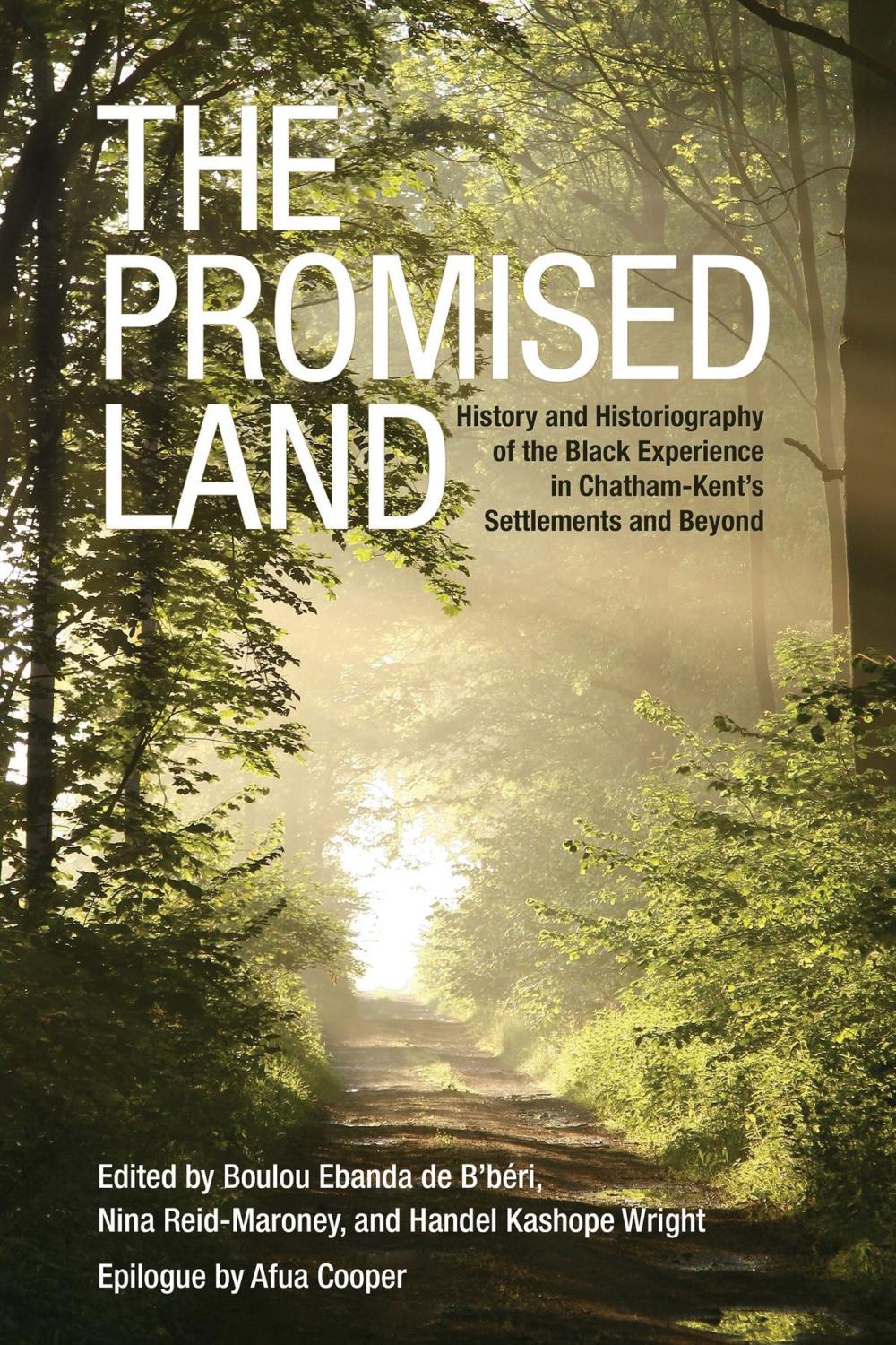 Big bigCover of The Promised Land