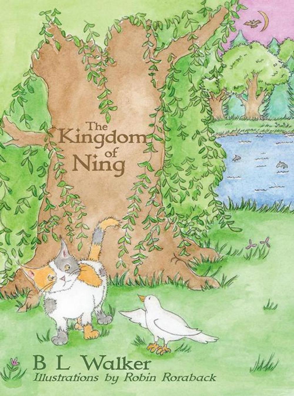 Big bigCover of The Kingdom of Ning