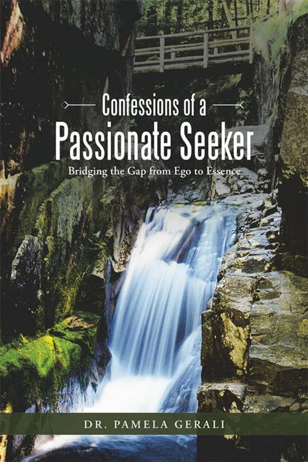 Big bigCover of Confessions of a Passionate Seeker