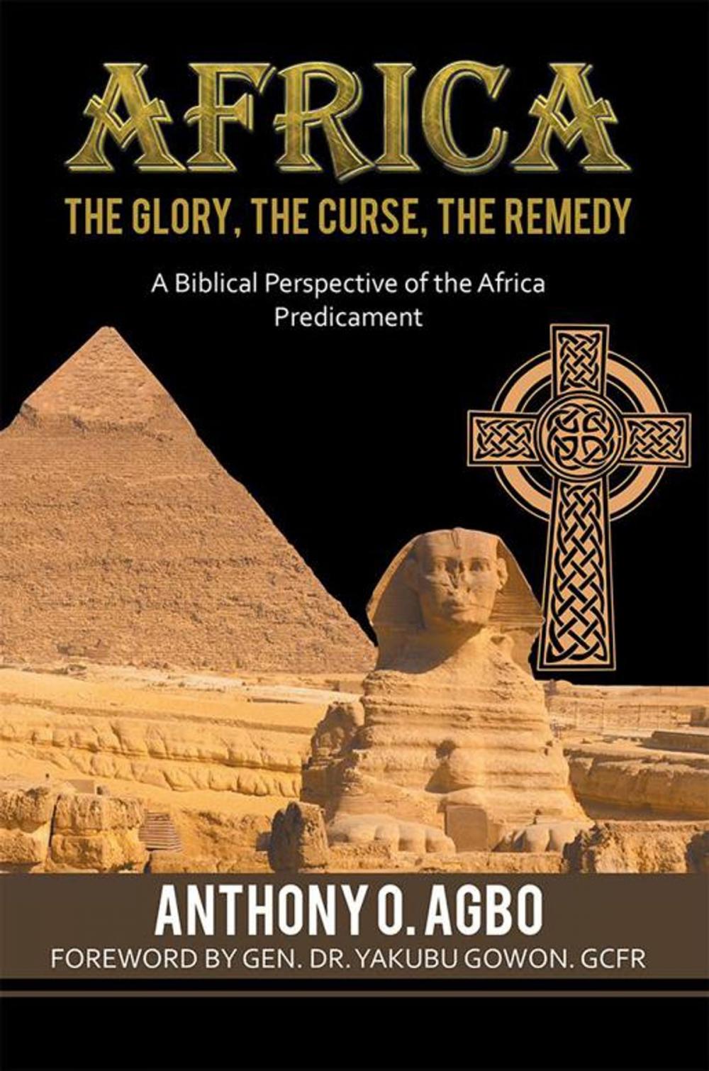 Big bigCover of Africa: the Glory, the Curse, the Remedy