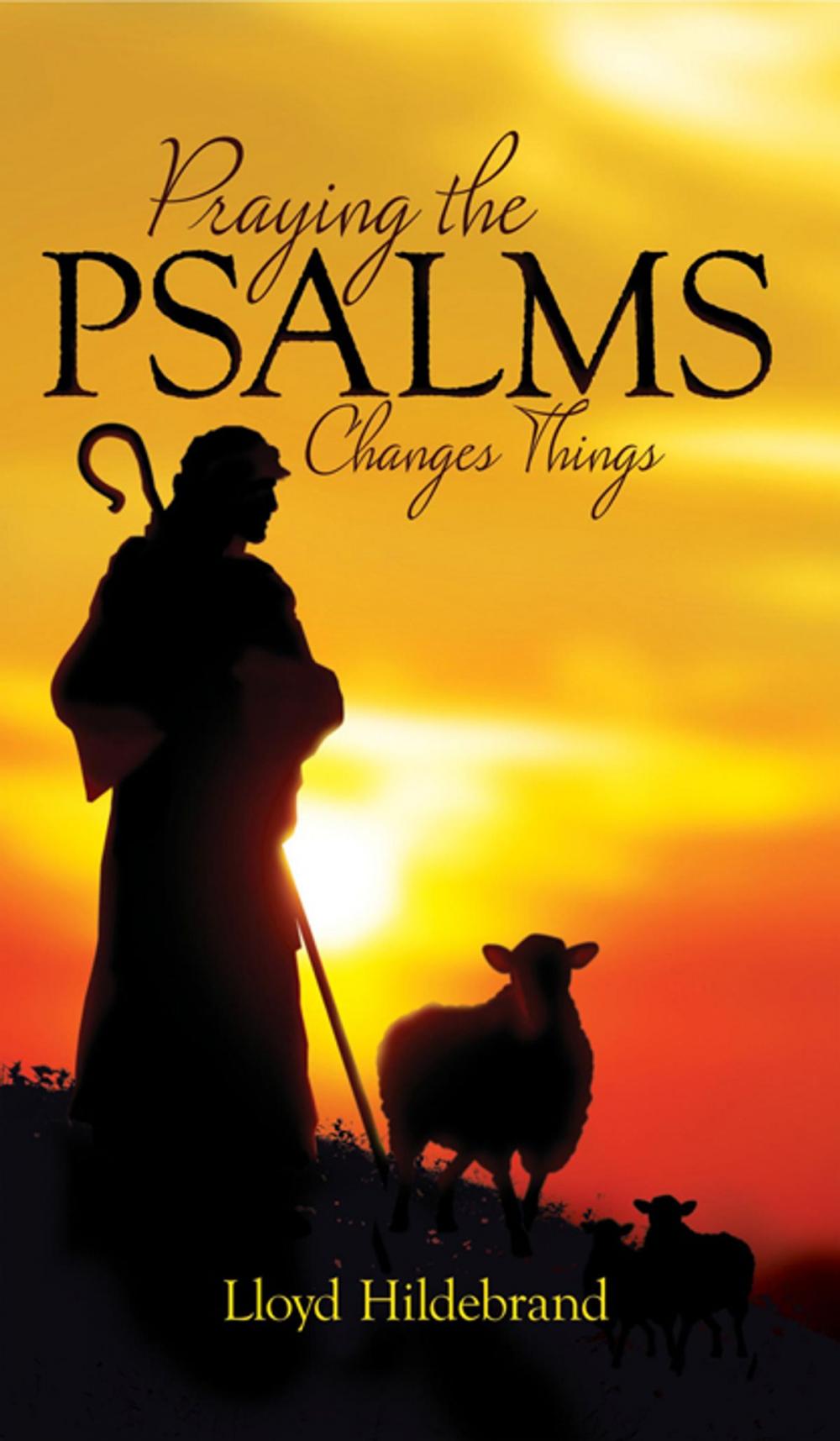 Big bigCover of Praying The Psalms Changes Things