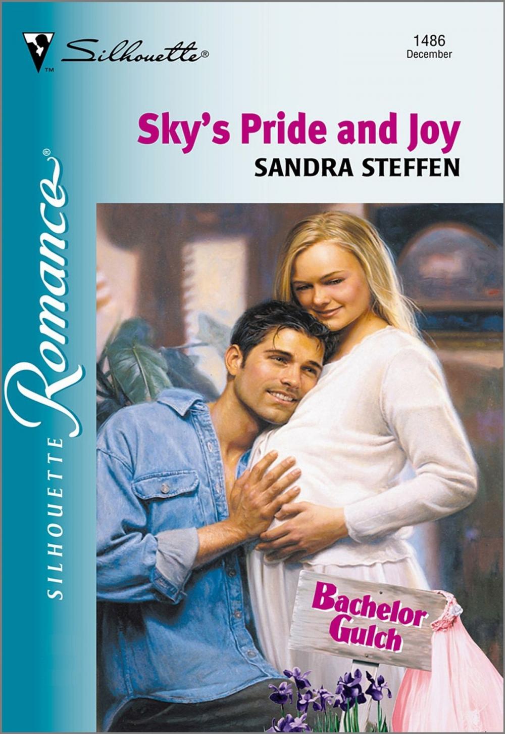 Big bigCover of Sky's Pride and Joy