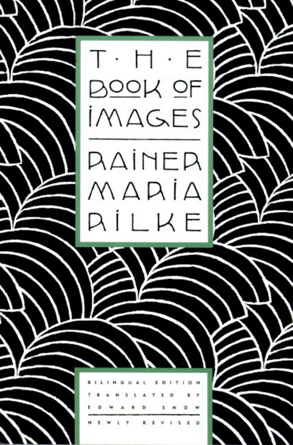 Big bigCover of The Book of Images