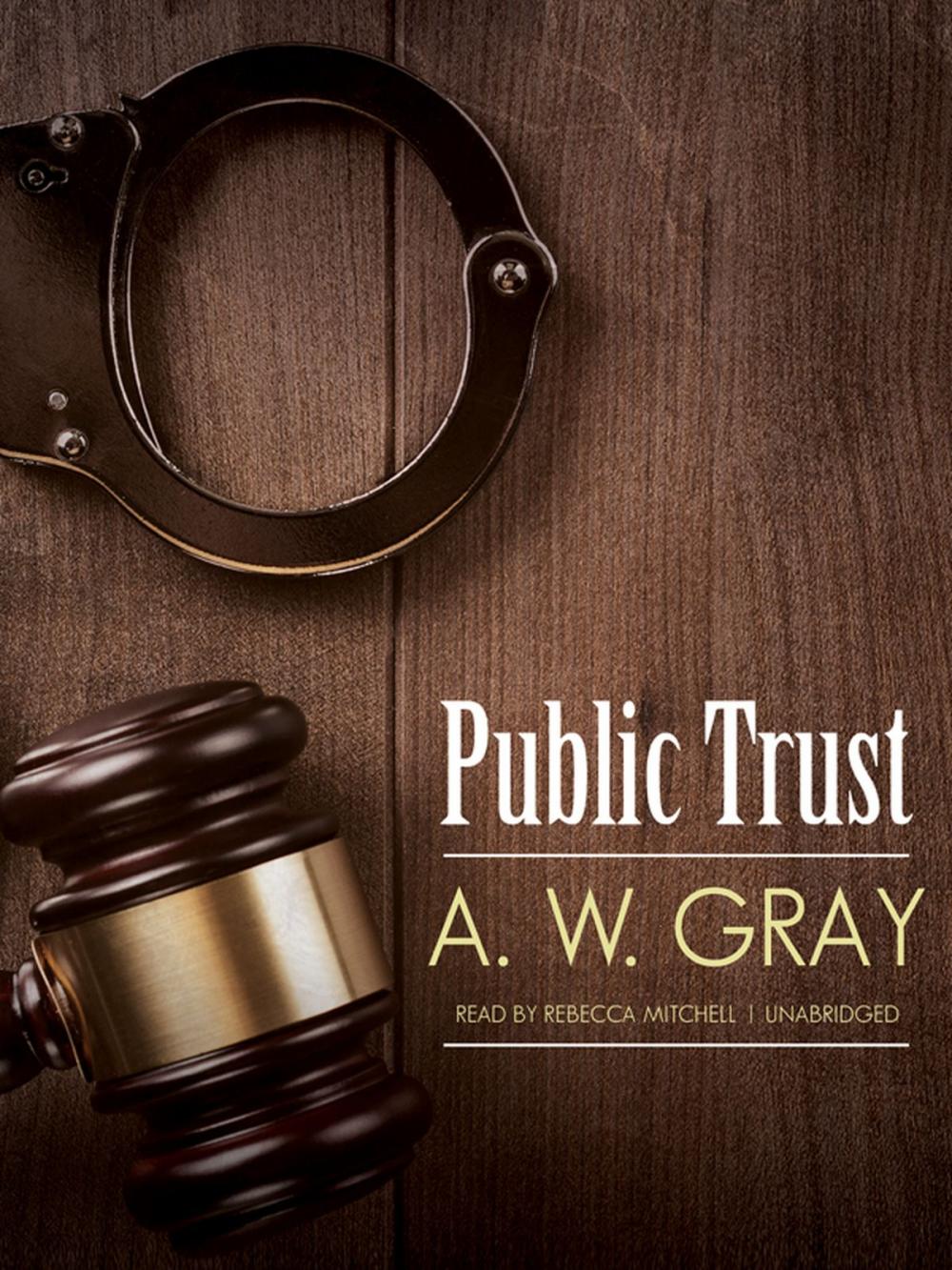 Big bigCover of Public Trust