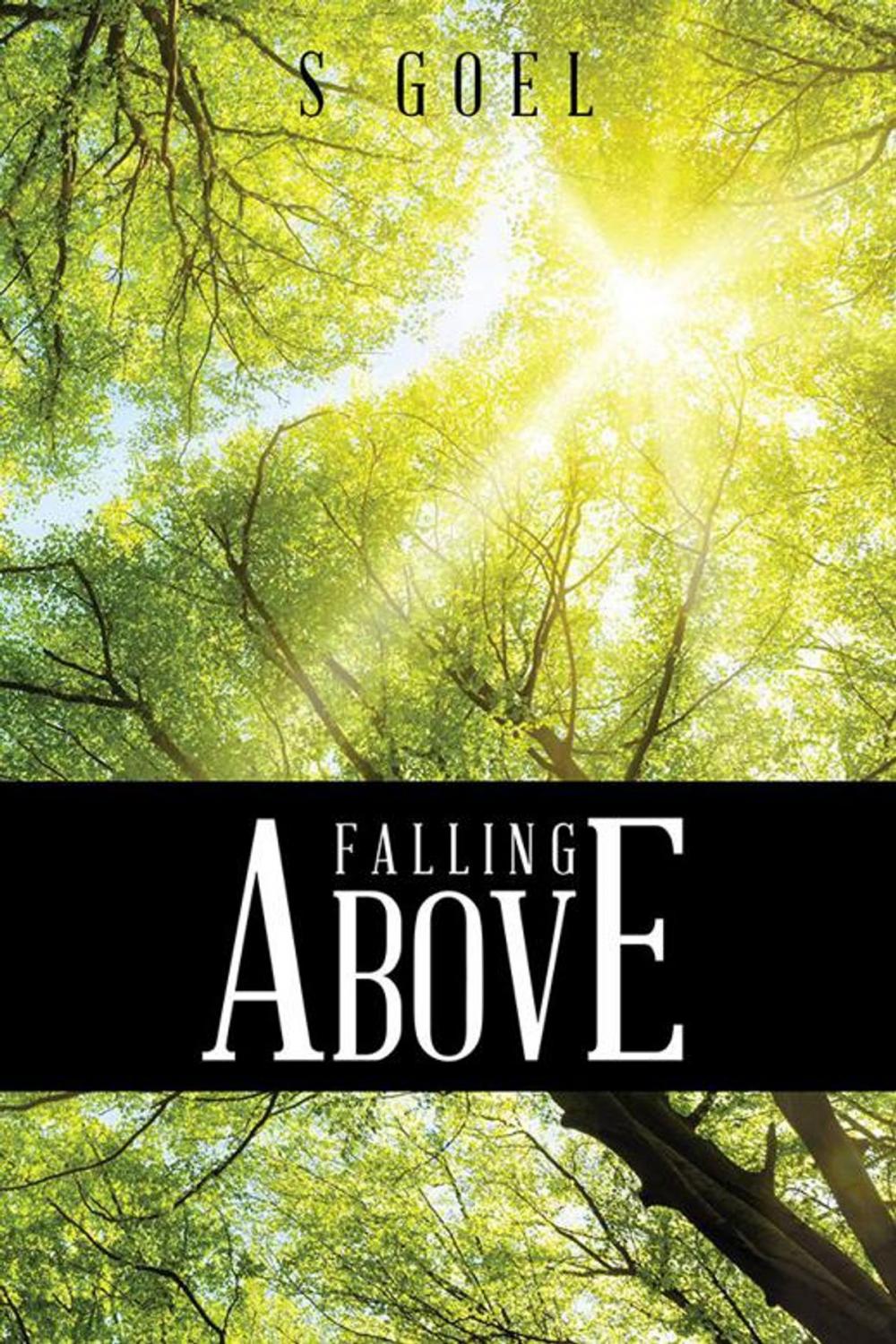 Big bigCover of Falling Above