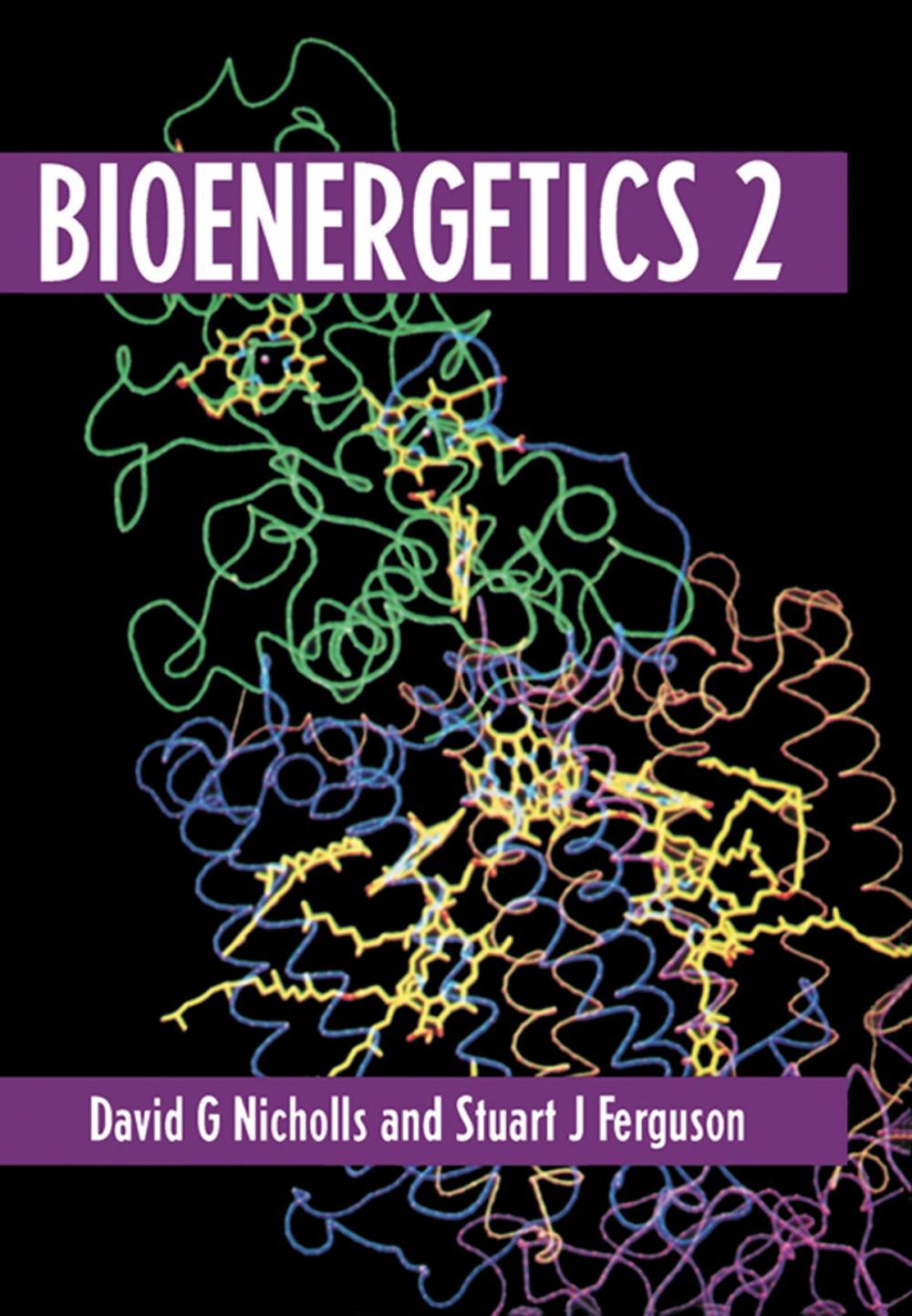 Big bigCover of Bioenergetics 2