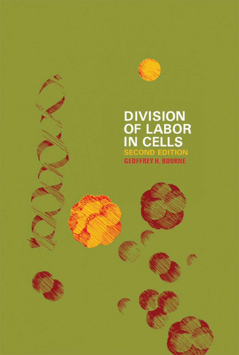 Big bigCover of Division of Labor in Cells