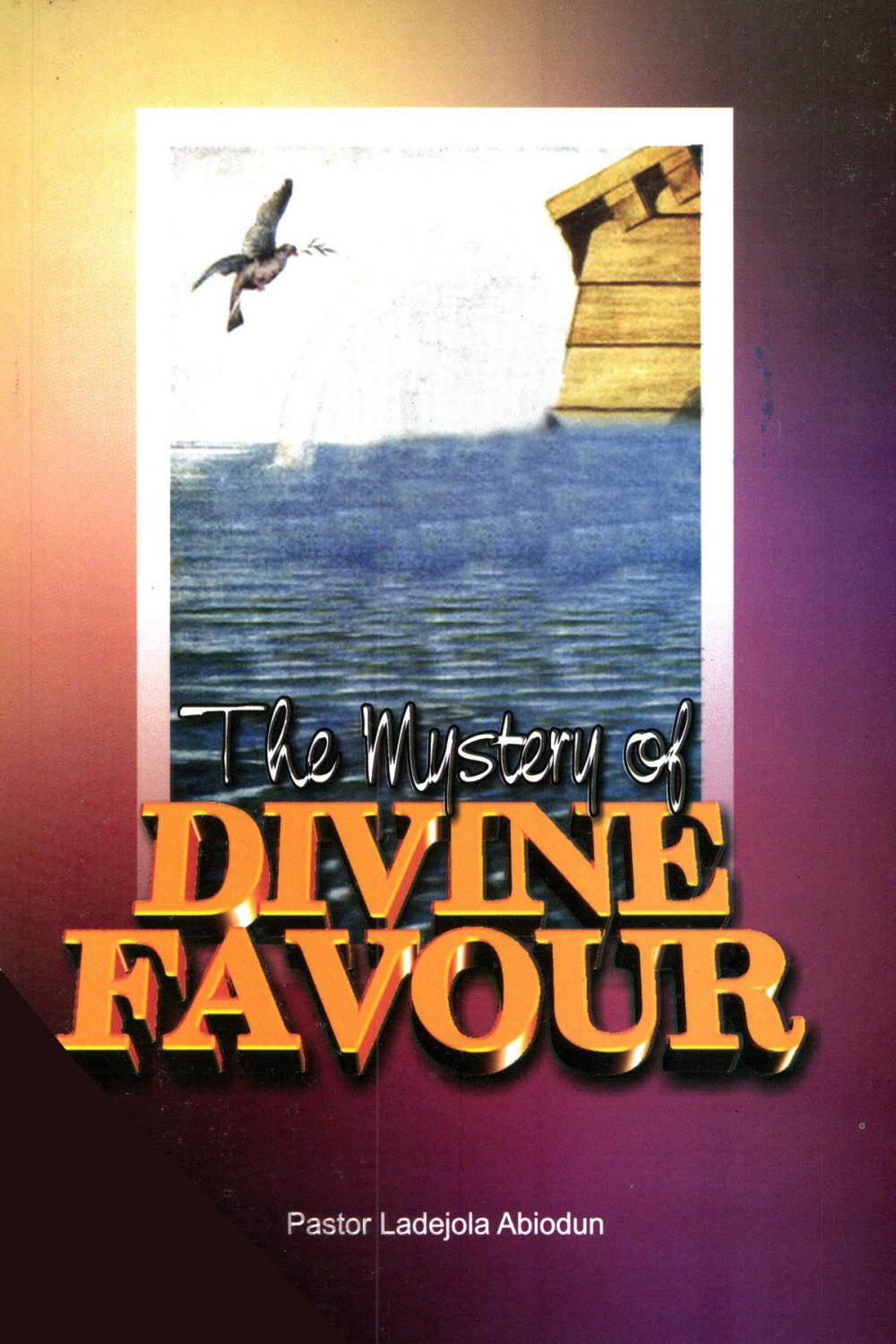 Big bigCover of The Mystery of Divine Favour