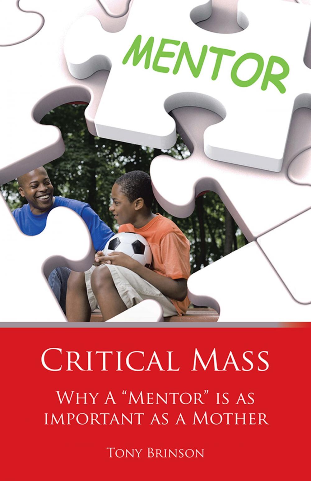 Big bigCover of Critical Mass