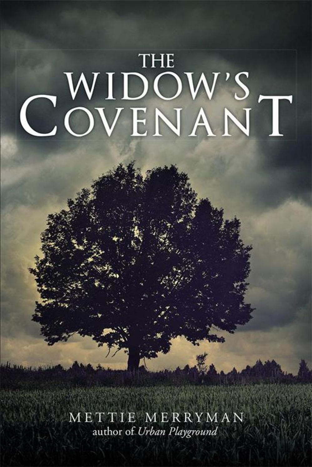 Big bigCover of The Widow’S Covenant