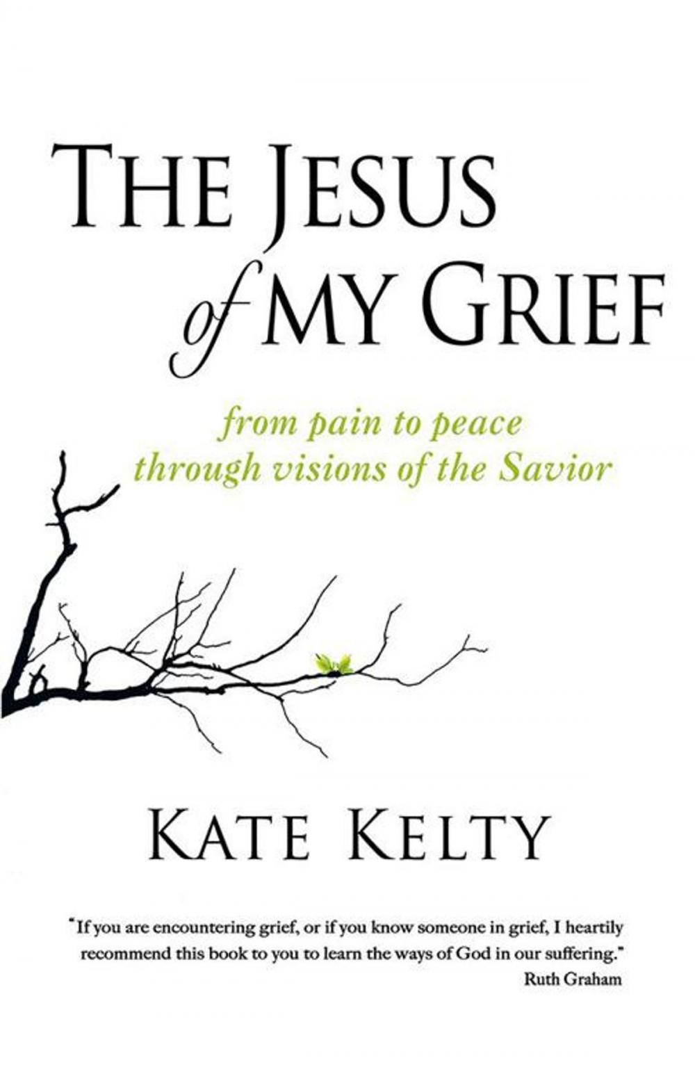 Big bigCover of The Jesus of My Grief