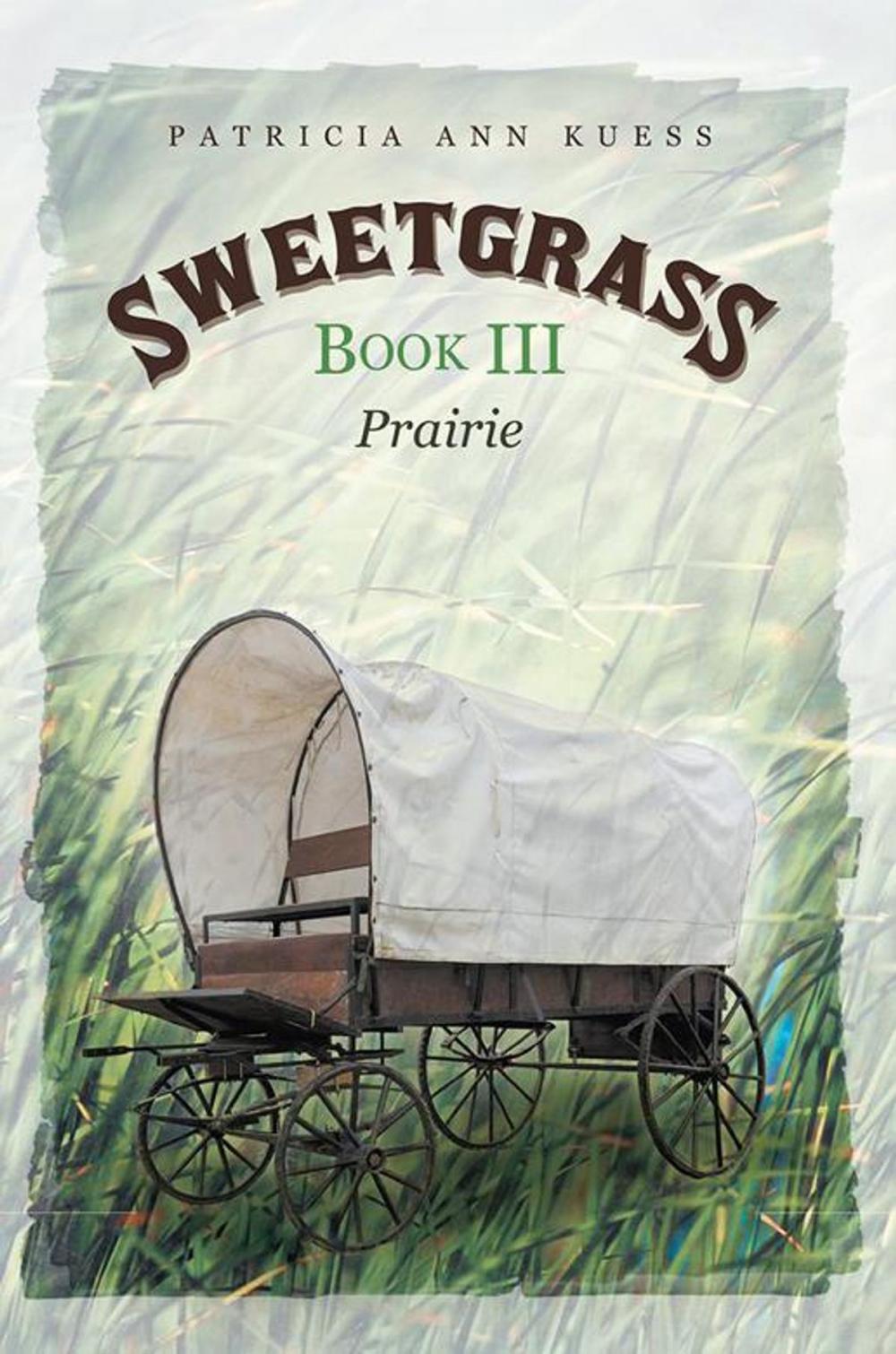 Big bigCover of Sweetgrass: Book Iii