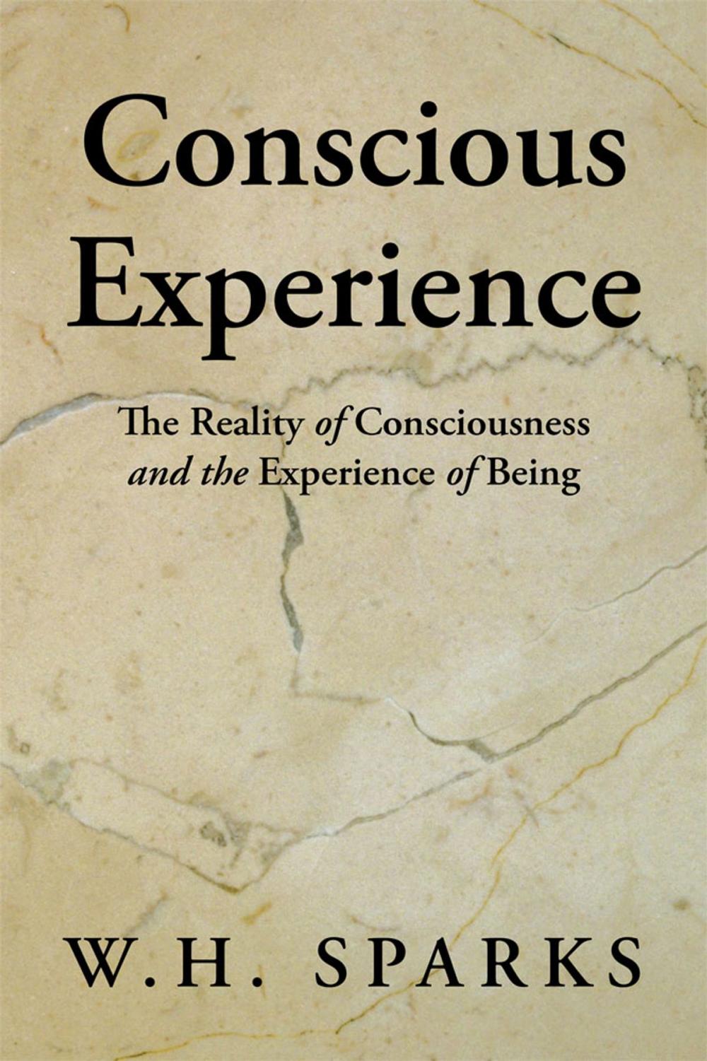 Big bigCover of Conscious Experience