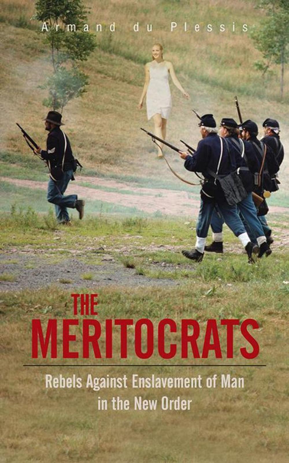 Big bigCover of The Meritocrats