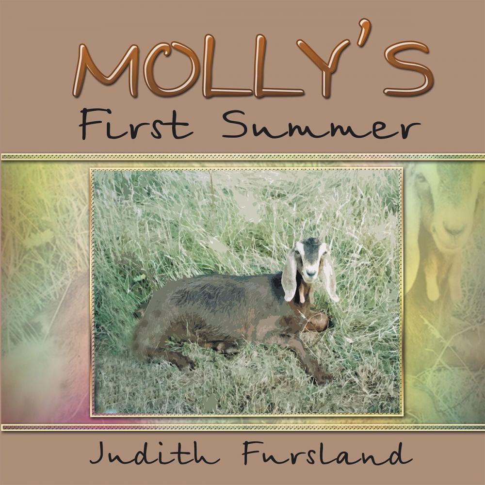 Big bigCover of Molly’S First Summer