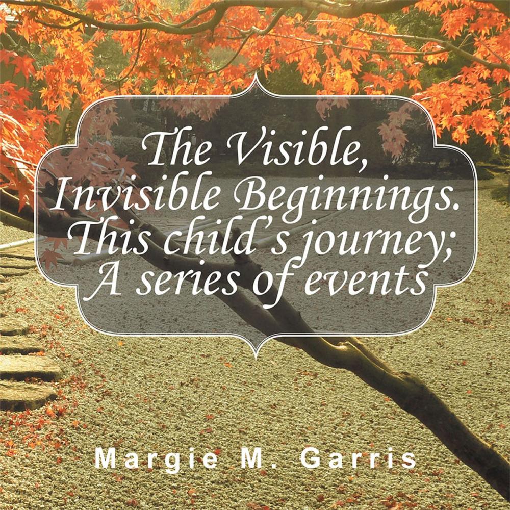 Big bigCover of The Visible, Invisible Beginnings. This Child’S Journey; a Series of Events