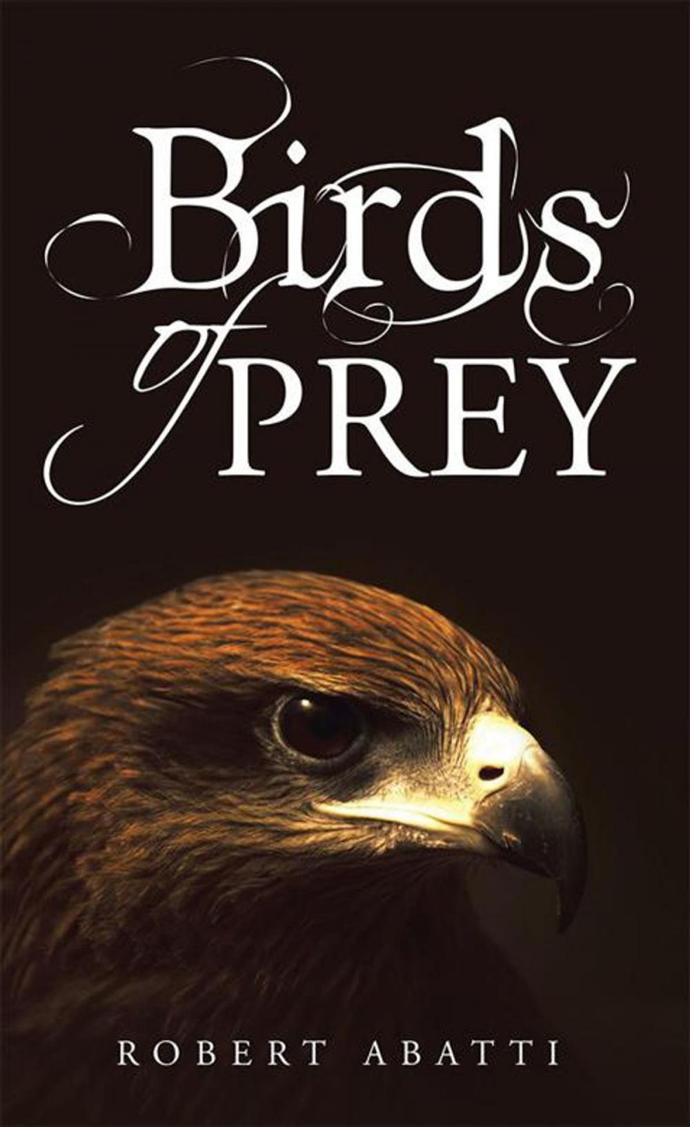 Big bigCover of Birds of Prey