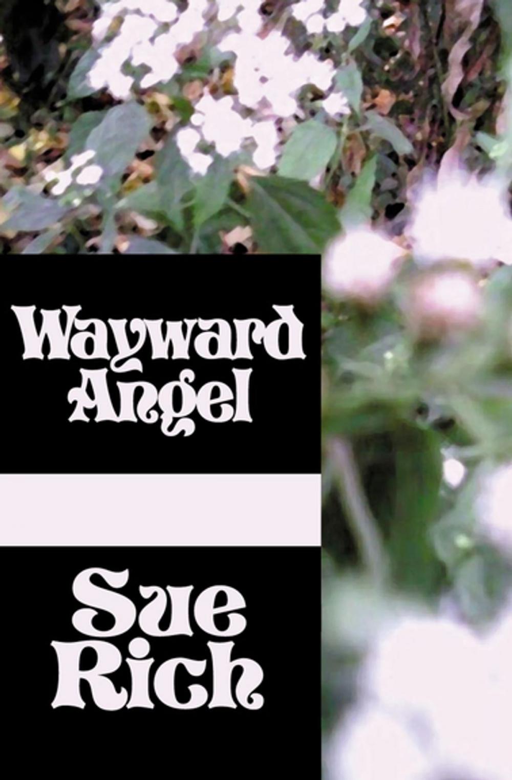 Big bigCover of Wayward Angel