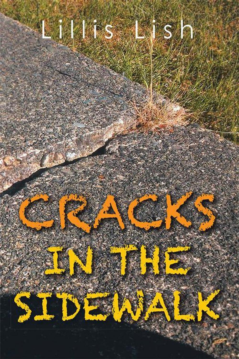 Big bigCover of Cracks in the Sidewalk