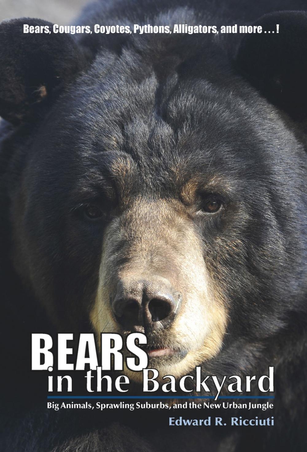 Big bigCover of Bears in the Backyard: Big Animals, Sprawling Suburbs, and the New Urban Jungle