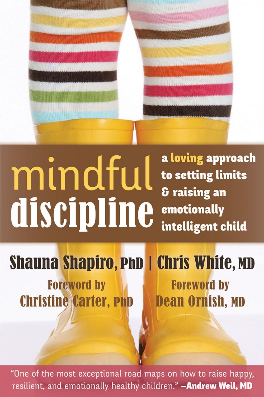 Big bigCover of Mindful Discipline