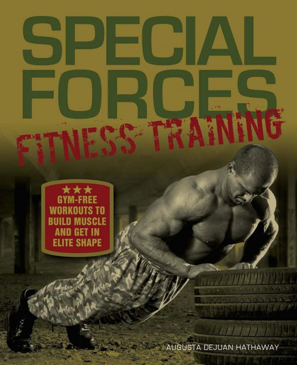 Big bigCover of Special Forces Fitness Training