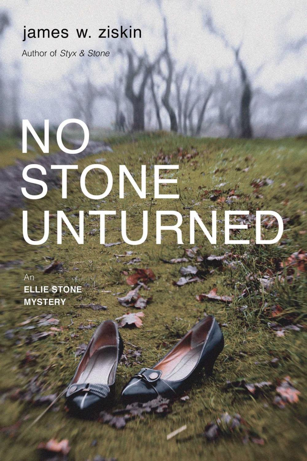 Big bigCover of No Stone Unturned