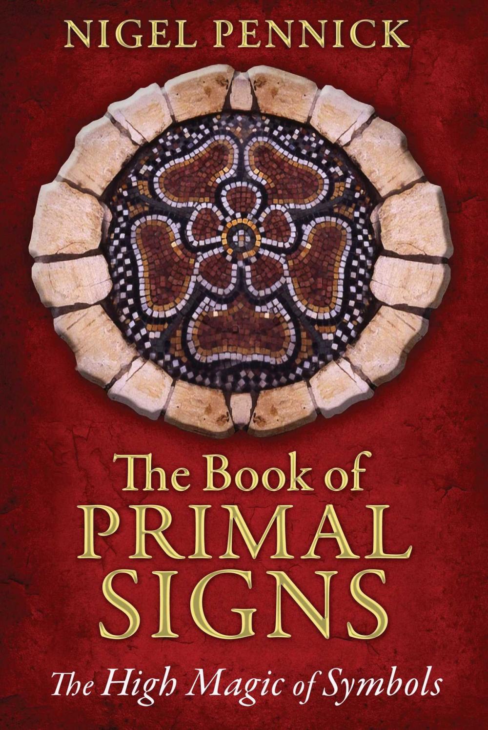 Big bigCover of The Book of Primal Signs